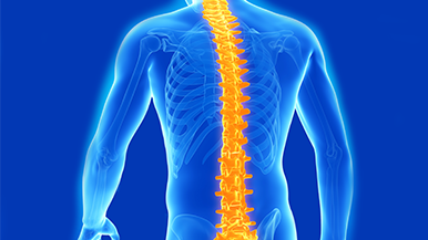 Why should you care about your spine health